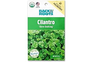 Curry Leaf Seeds for Seasoning with Exotic Flavor