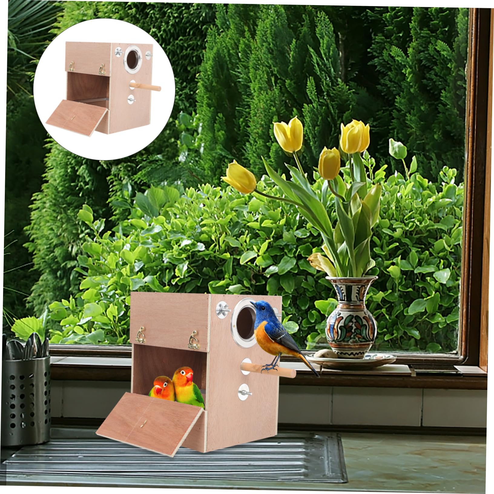 DOITOOL Caja Nido De Hábitat De Loros Loro Dormir Casa Ventana Casas De Pájaros para Nido De Periquitos Cabaña para Dormir Periquito Loro Suministros De Madera Vertical