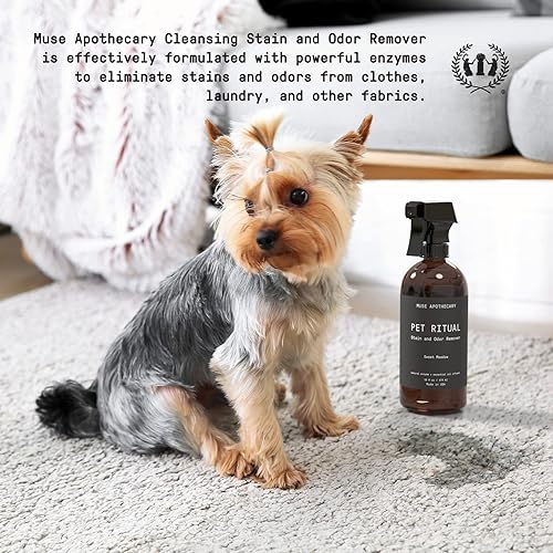 Miniatura 2 de Muse Apothecary Limpiador completo de alfombras enzimáticas para eliminar manchas y olores de mascotas, removedor de manchas de perros y