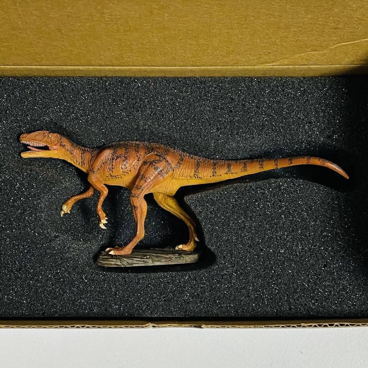 トレトレ KAIYODO Fukuiraptor +1点 Images and collectibles of living & extinct animals