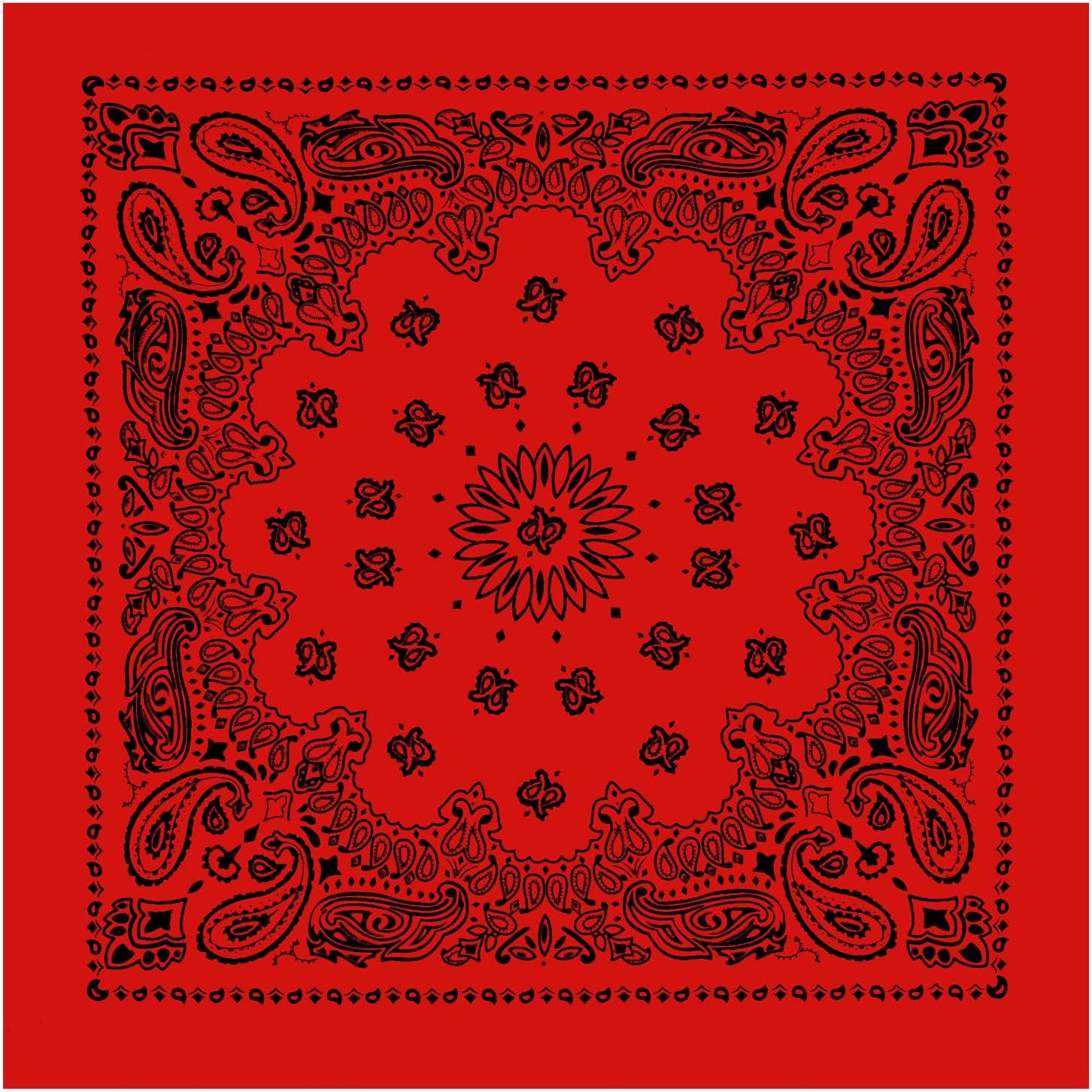 Trainmen Paisley Bandana - Standard - 22" X 22"