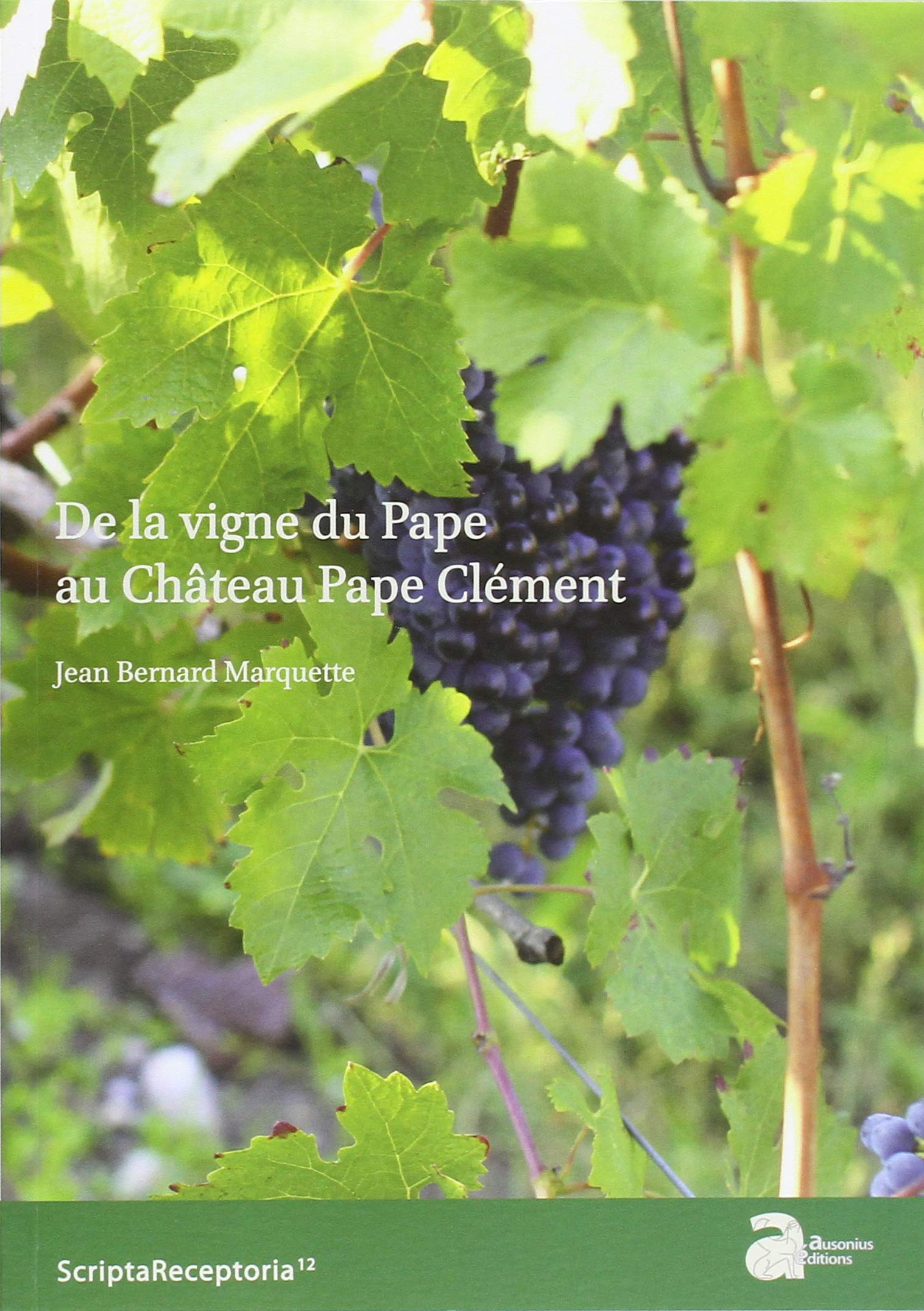 De la vigne du pape au château pape clément