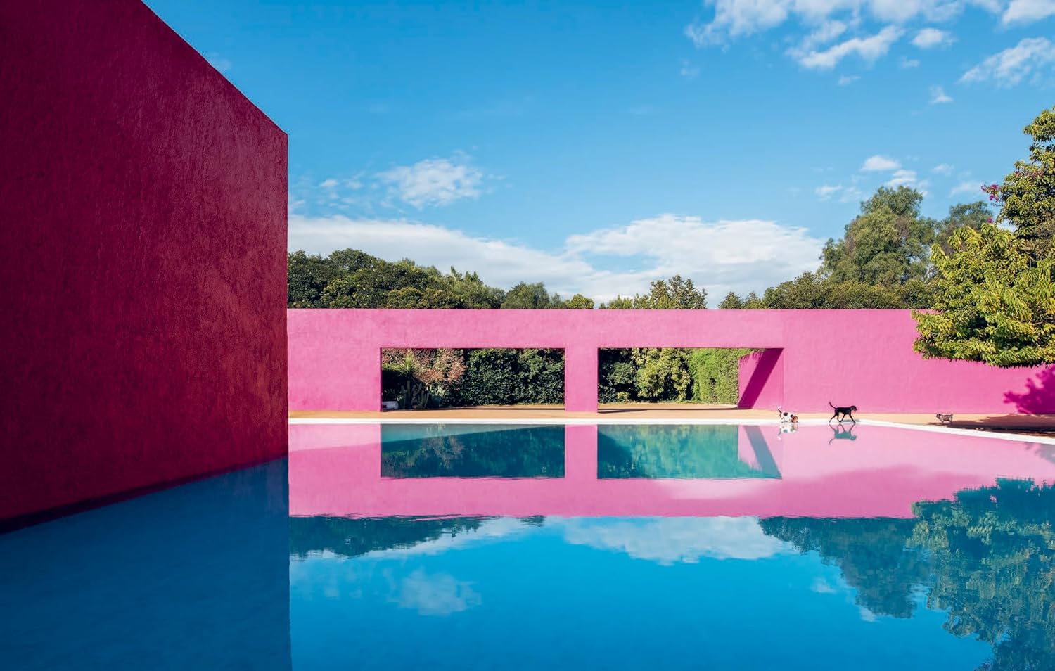 Resident Dog (Volume Two): Incredible Homes and the Dogs Who Live There - Image 9