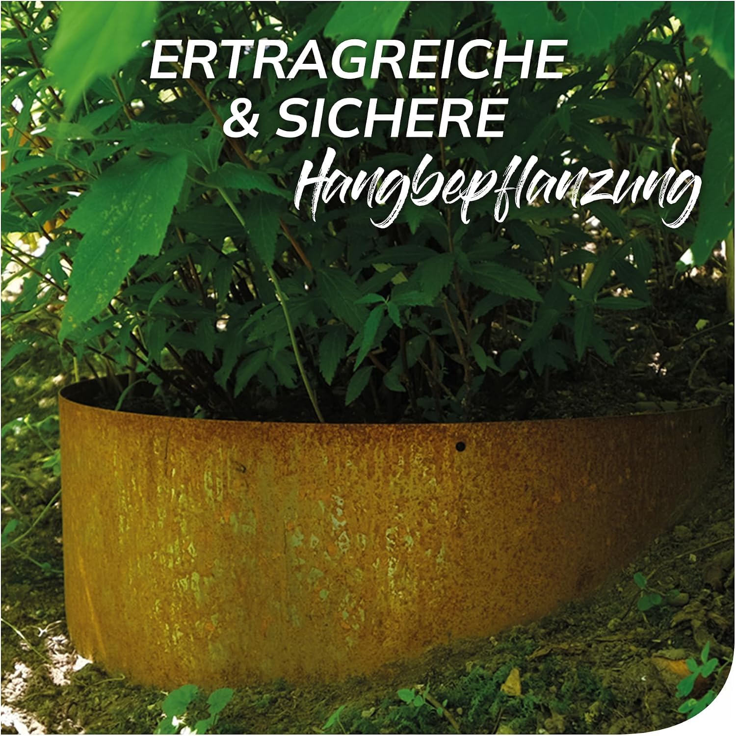 bellissa Hangpflanzschale Collina Corten (5 Stück)