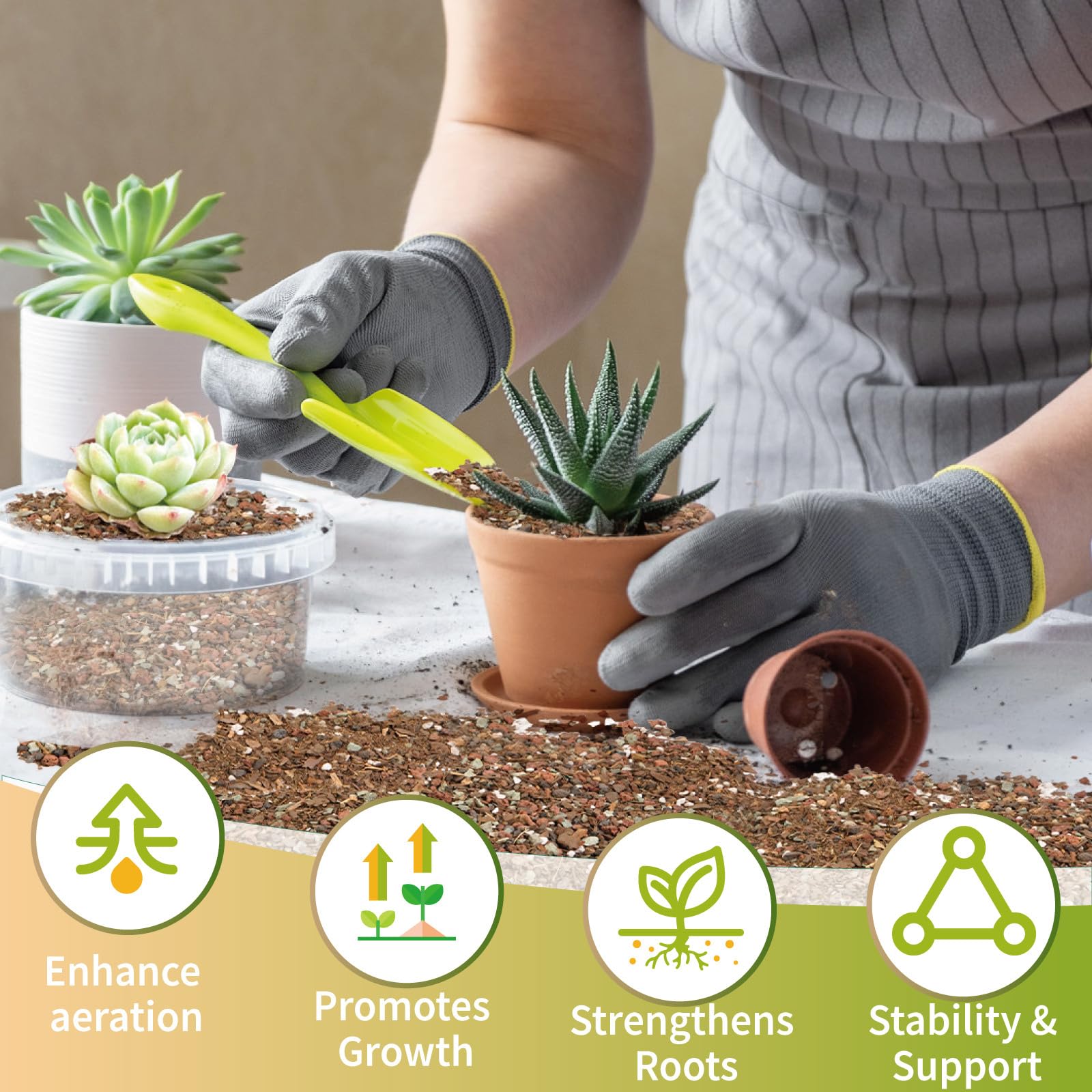 GOTVUGE Succulent & Cactus Soil Potting Mix, Chunky Dirt with Fast Draining Fits for Bonsai Terrarium and Houseplant (2L) - Image 4
