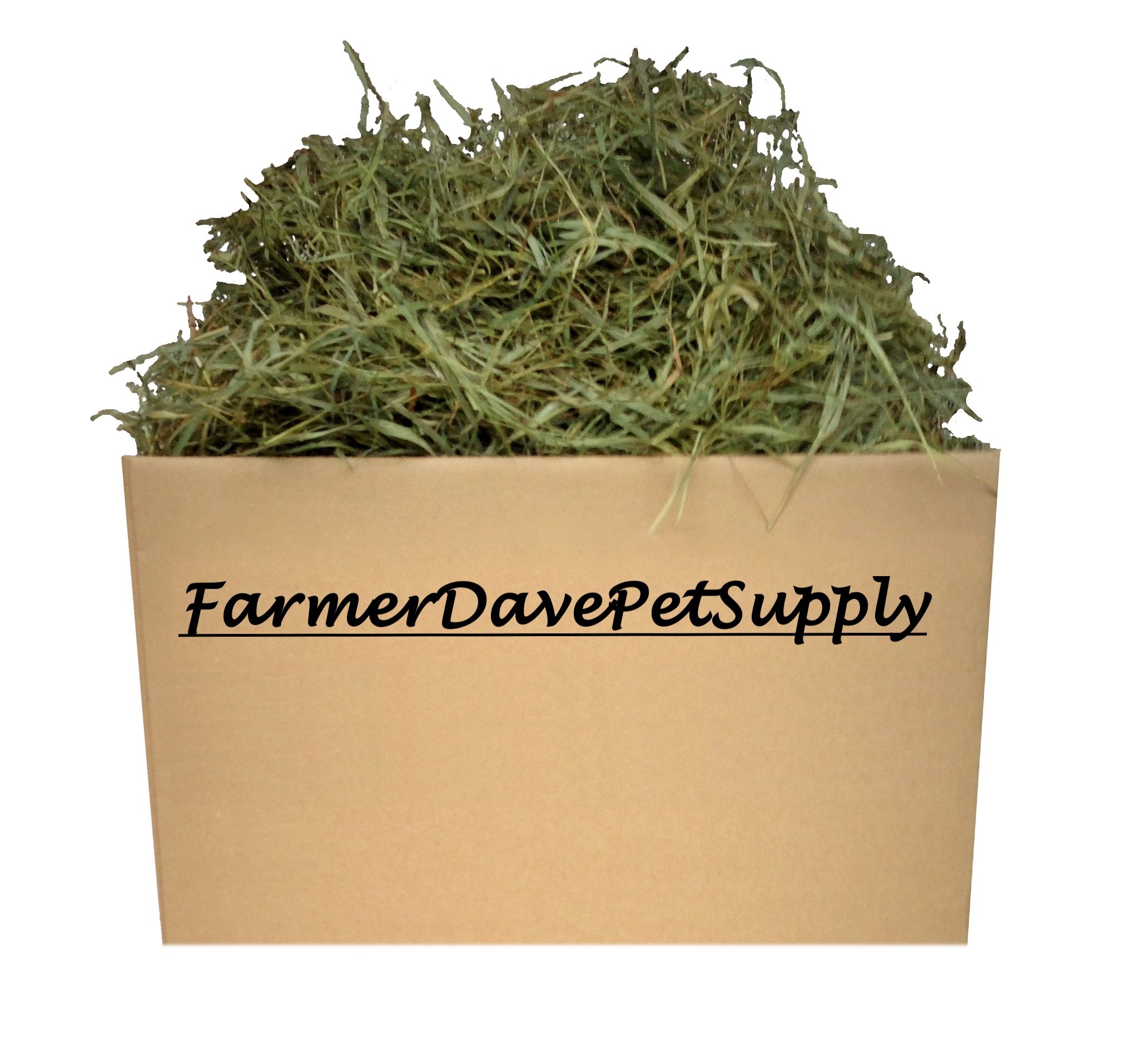 FarmerDavePetSupply 10 Lb Second Cut Timothy Hay, Bunny, Guinea Pig and Chinchilla Hay
