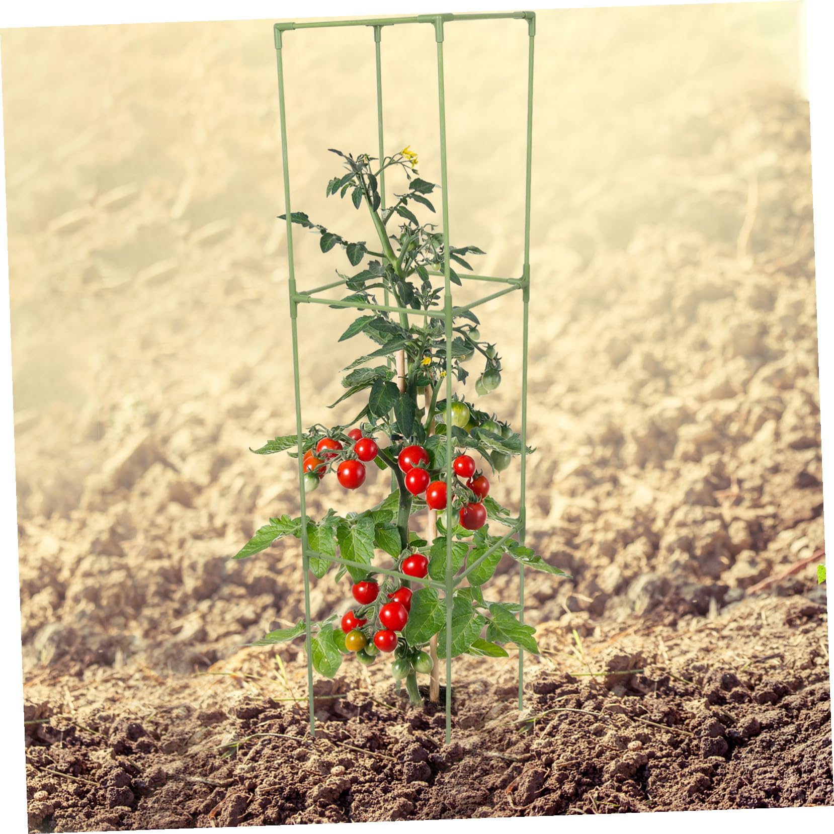 Tuteur de Jardin Carré à 4 Coins en Fibre de Verre Vert, 1 Set