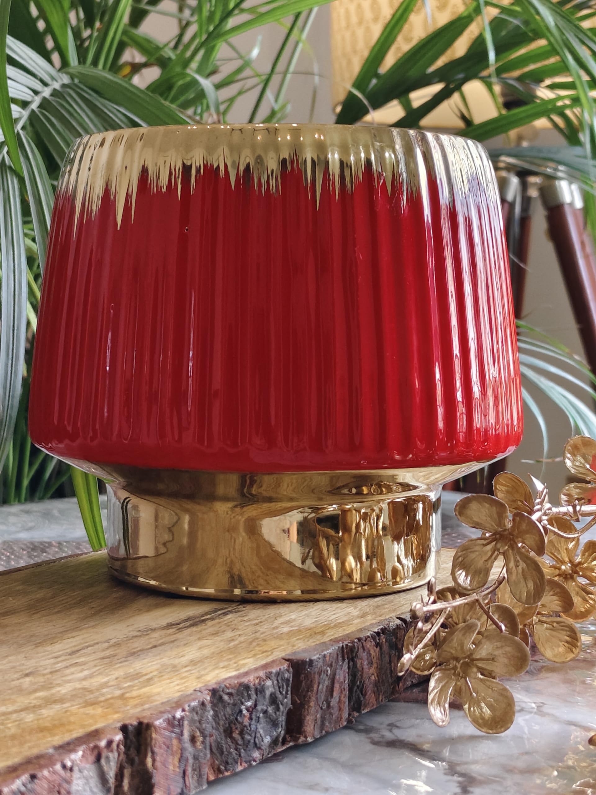 Niyara Red Design Stylish Medium Ceramic Pot Planters for Indoor Plants,Outdoor,Balcony,Home,Garden.Size- 6.5 inches (Luxe Red) (B0D2DFHVG5) Amazon Price History, Amazon Price Tracker