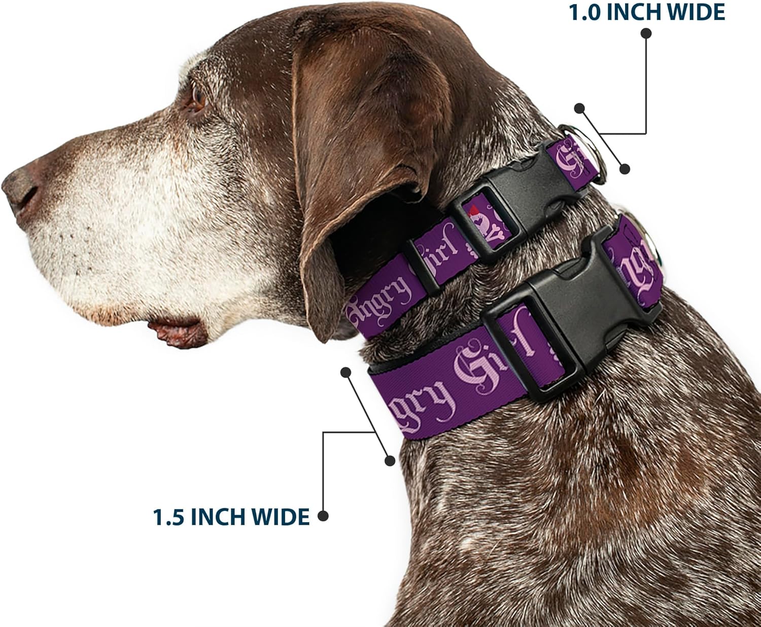 Buckle-Down PC-W30120-WM Angry Girl Purple/Pink Plastic Clip Collar, Wide Medium/16-23"