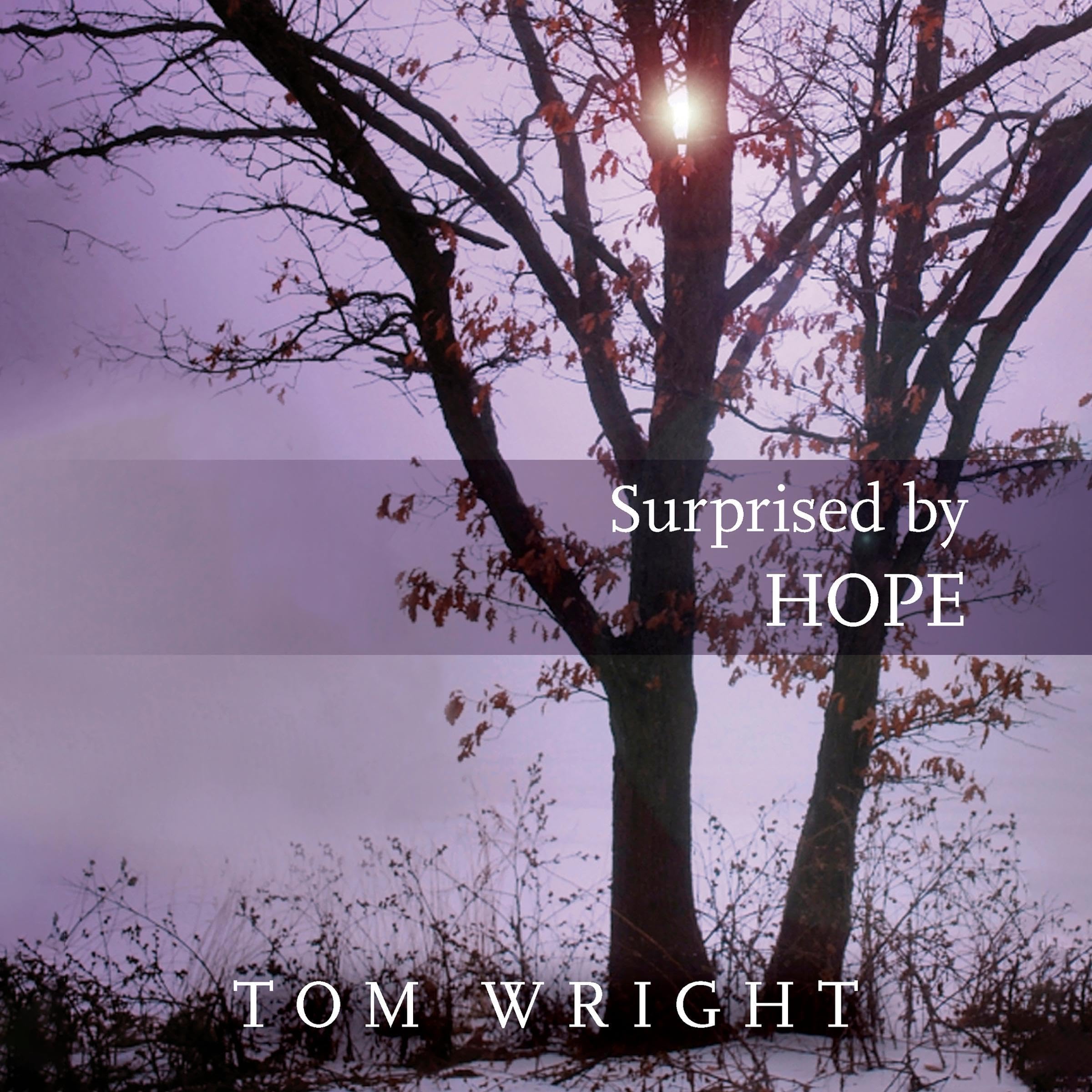 Surprised by Hope: Rethinking Heaven, the Resurrection and the Mission of the Church