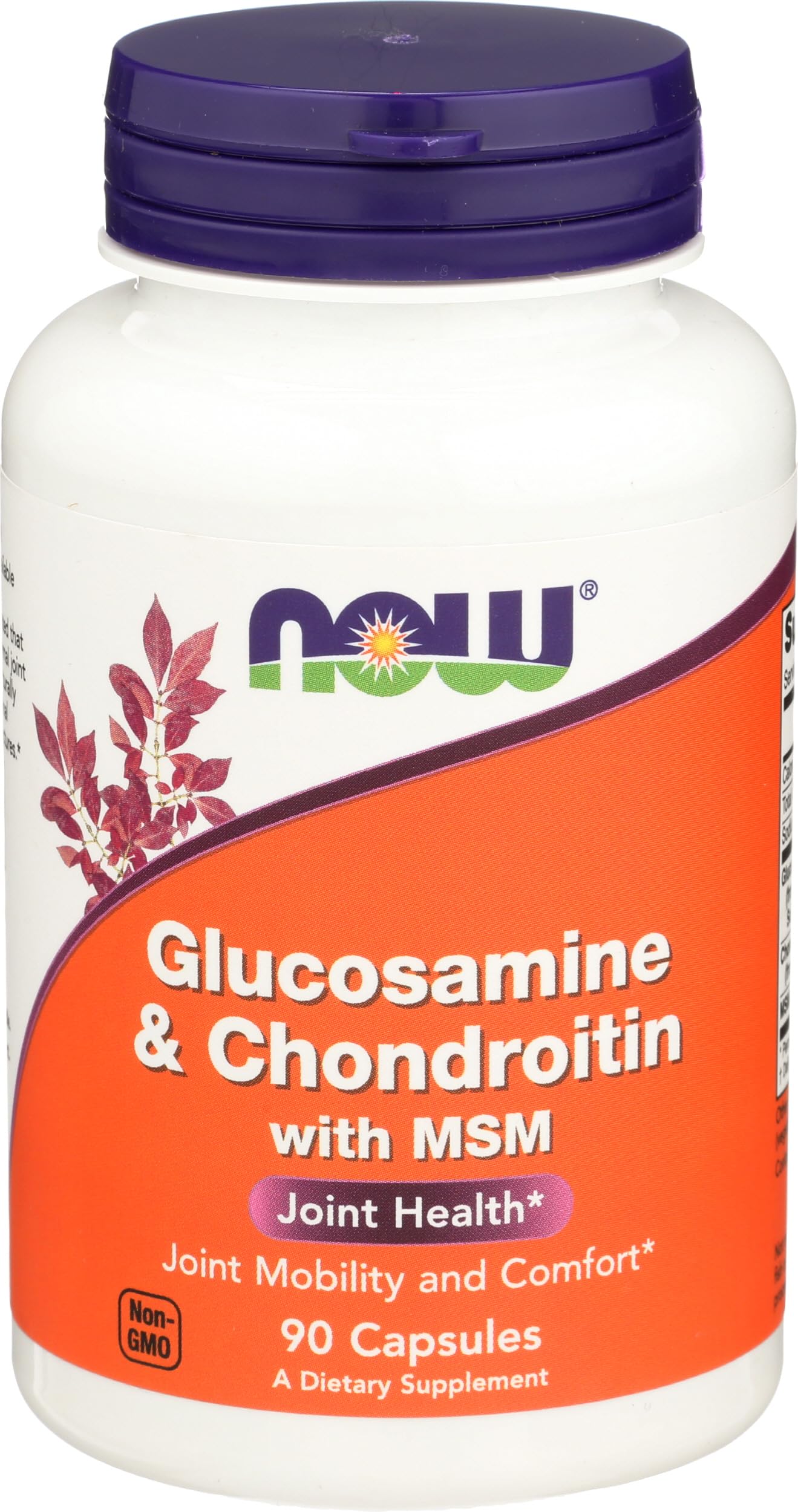 NOW Foods Glucosamine & Chondroitin with MSM, 90 Count 90 Count (Pack of 1)