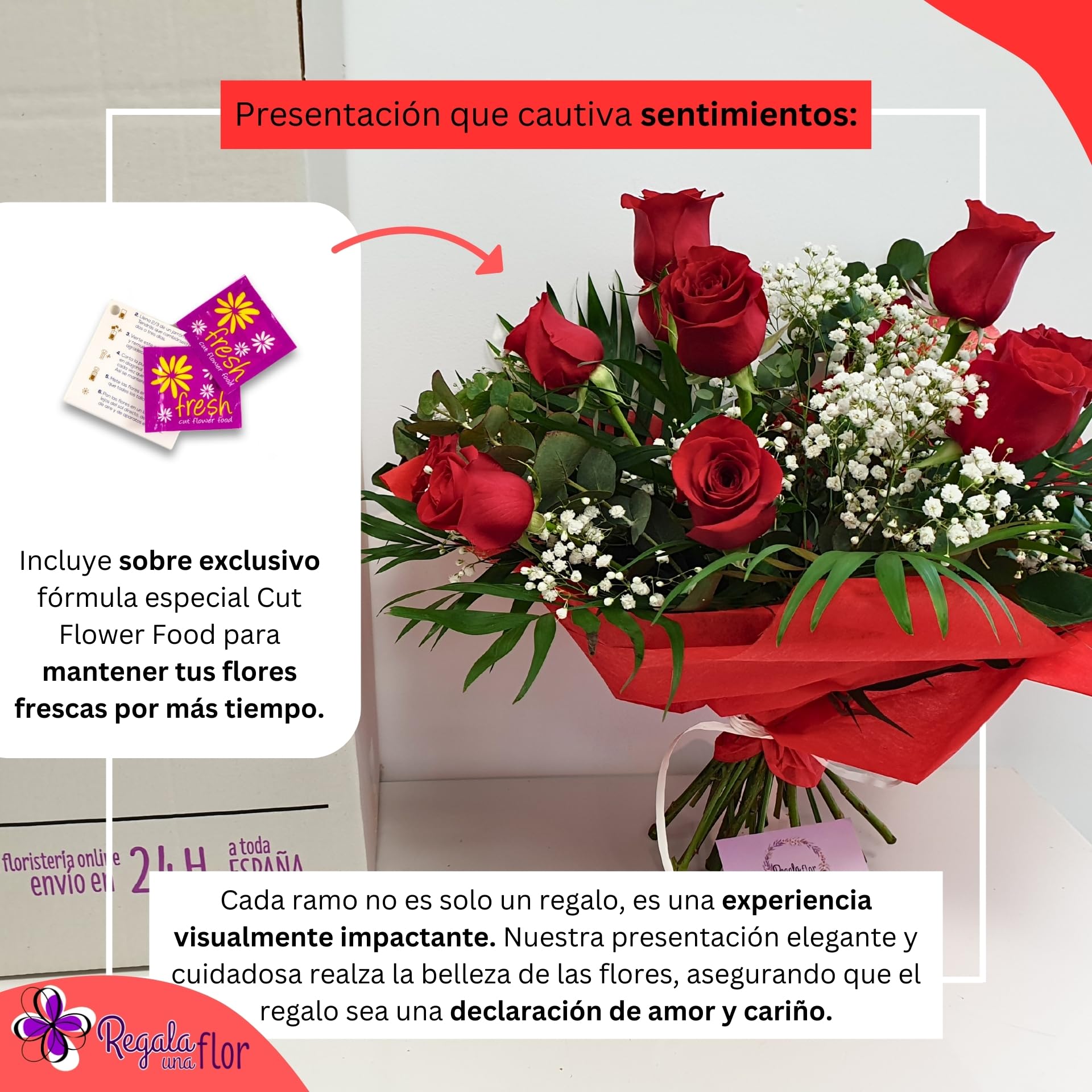 REGALA UNA FLOR | Ramo de 12 rosas naturales a domicilio | Entrega en 24 horas de Lunes a Sábado | Con tarjeta de dedicatoria | 12 rosas rojas