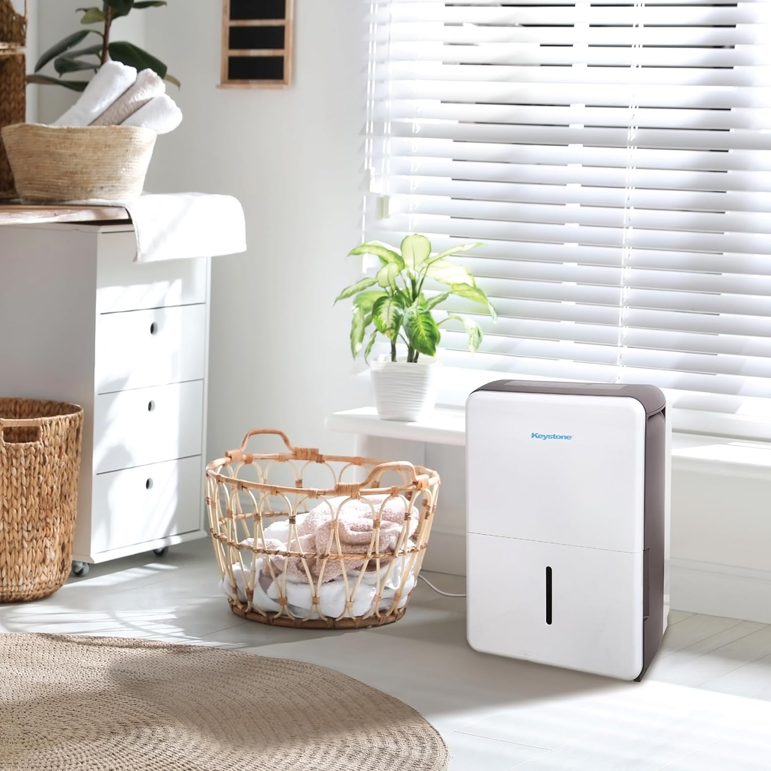 https://m.media-amazon.com/images/I/811t-x5xPiL._AC_SL1500_.jpg