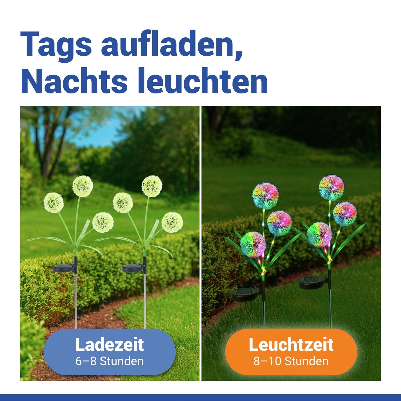 Maximex Solar LED Gartenstecker Pusteblume, 2er Set, LEDs in 5 Farben, 2 Lichtmodi, Dämmerungssensor, wetterfest, Solar Gartenbeleuchtung für Beete und Pflanzkübel, 9 x 75 cm, Polyester/Metall