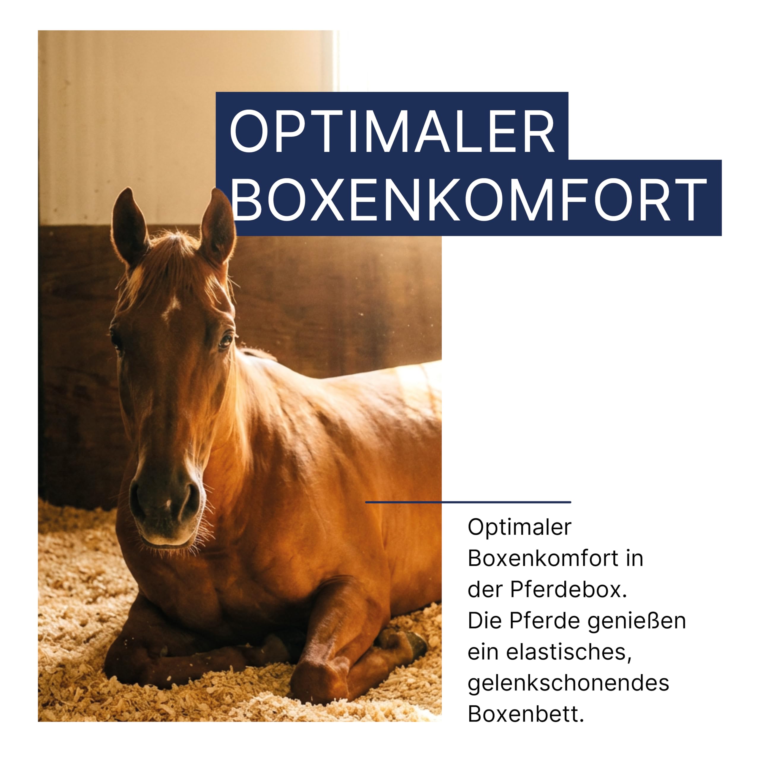 ALL-WIN | Allspan German Horse Classic 19 kg – Palette 21x | Hochwertiges Weichholz-Einstreu | Staubarm, saugstark & hygienisch | Ideal für Pferdeboxen, Hühner, Kaninchen, Hamster & andere Kleintiere