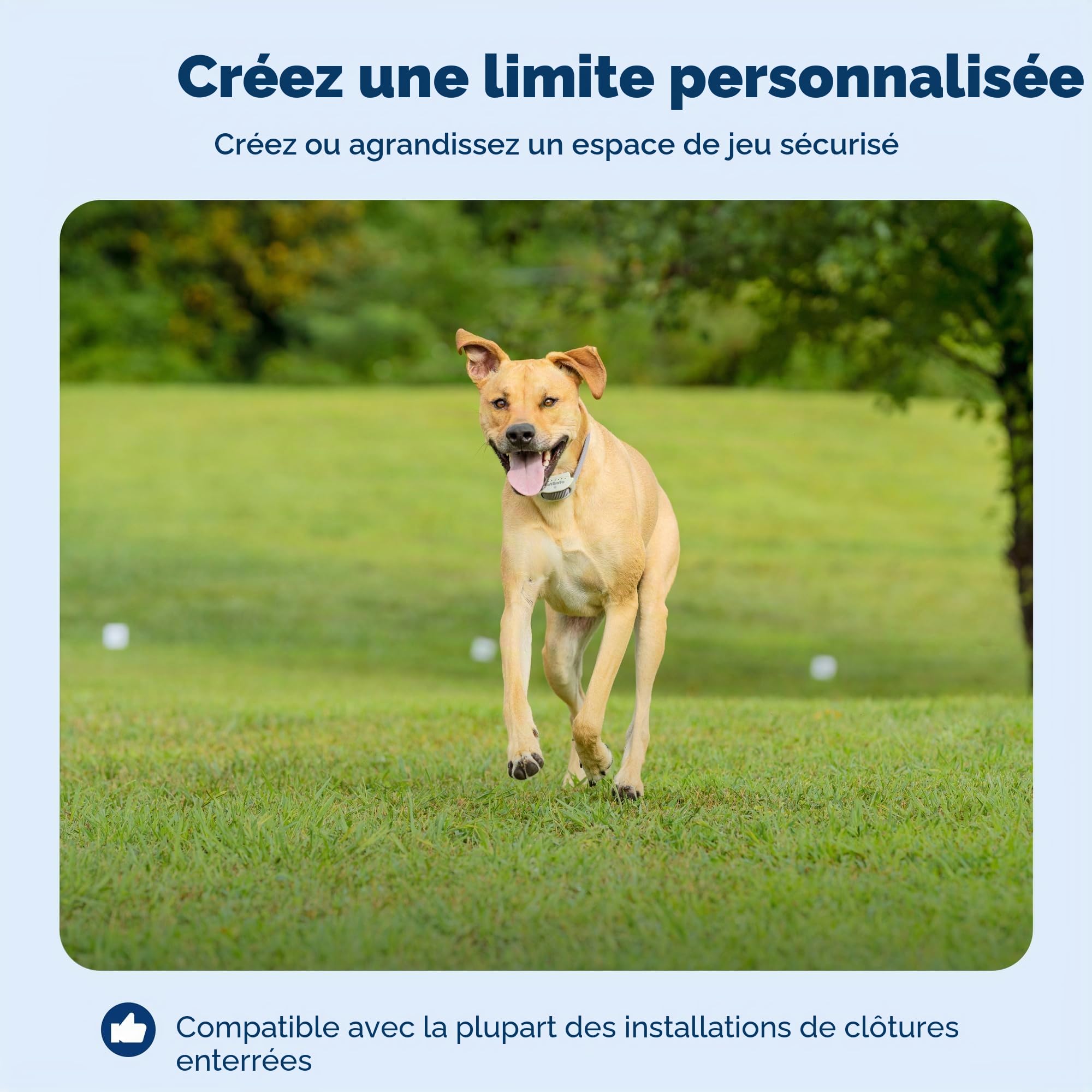 PetSafe Boundary Wire Bobine de Fil de cuivre Solide de Calibre 20, Fil de clôture enterré pour Animaux de Compagnie, Les Couleurs Peuvent Varier, de la société mère de la Marque Invisible Fence