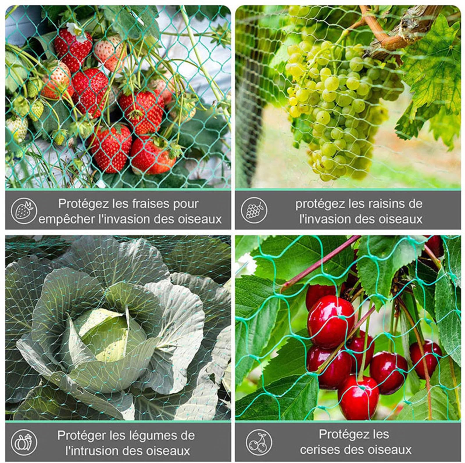 Red resistente para pájaros, red antipájaros de 5 x 10 m para jardín, protege plantas y frutas de pájaros, solución de red de jardín fácil de instalar