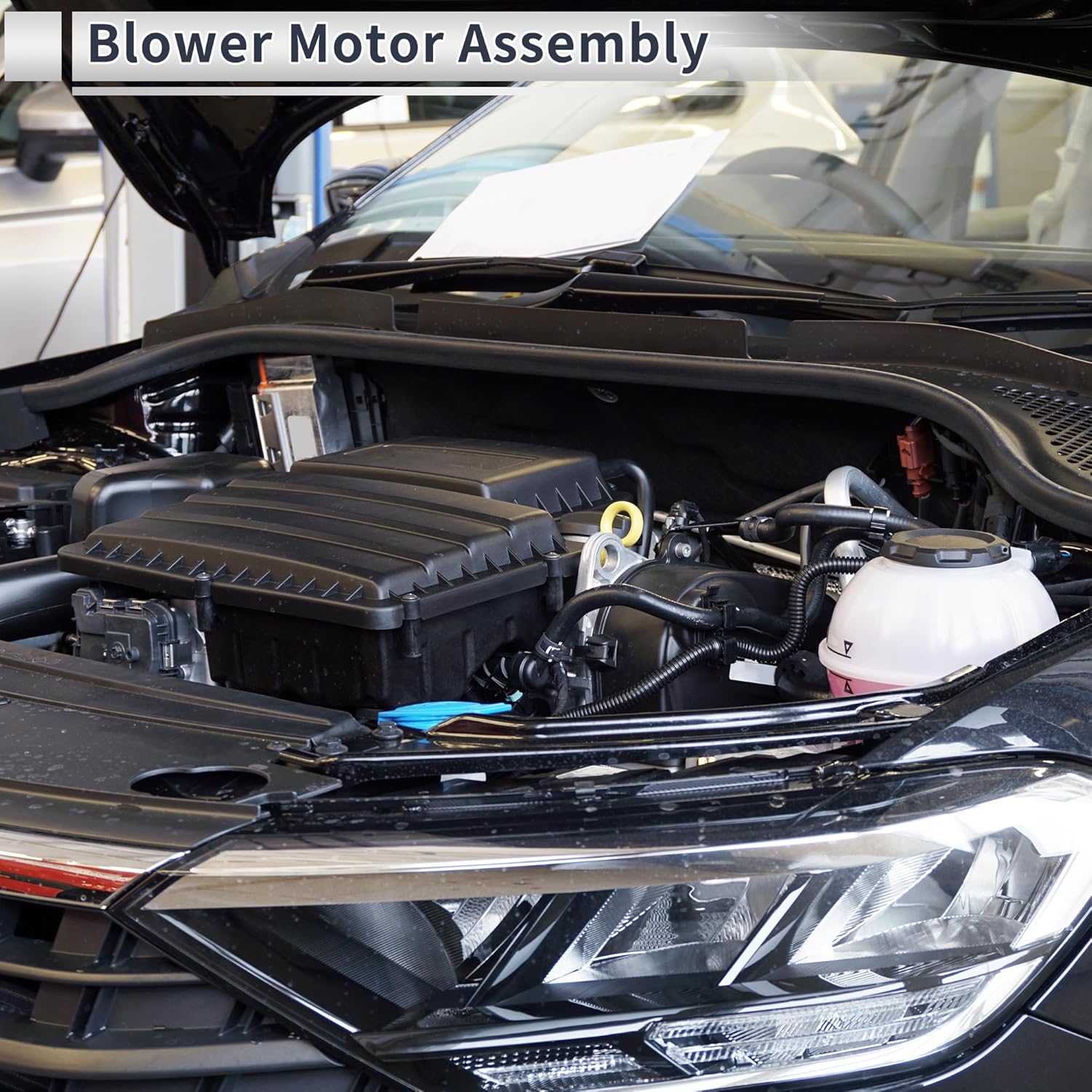 Blower Motor Assembly Combustion Air Fan Heater for Car Truck Van RV Bus Boat 12V