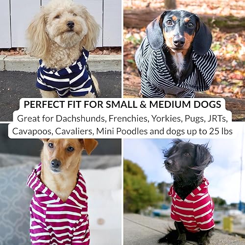 Miniatura 8 de DJANGO Sudadera con capucha para perro y suéter súper suave y elástico con cintura elástica y portal de correa (S, Boysenberry)