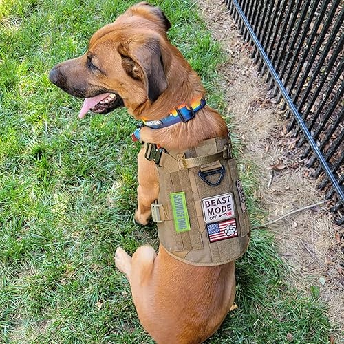 Miniatura 5 de J.CARP 10 parches para perros de servicio, con texto en inglés Don't Pet in Training, Do Not Touch I'm Special bordado, emblema para perros, arnés,