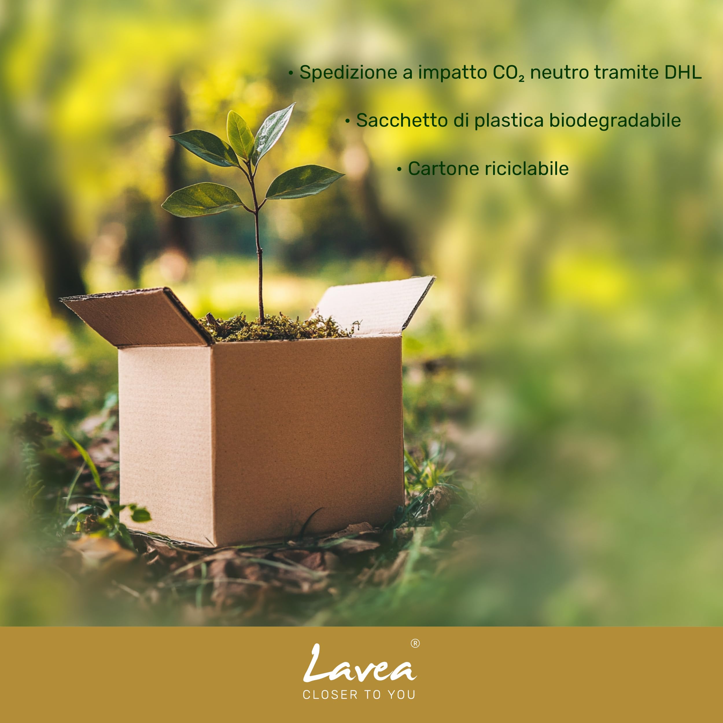 Lavea® Set Sauna Accappatoio Uomo e Donna con Asciugamano Doccia Grande 80x200 cm – Asciugamani Bagno in Spugna 100% Cotone, Morbidi e Assorbenti, Cappuccio e Cintura, OEKO-TEX® – Smeraldo