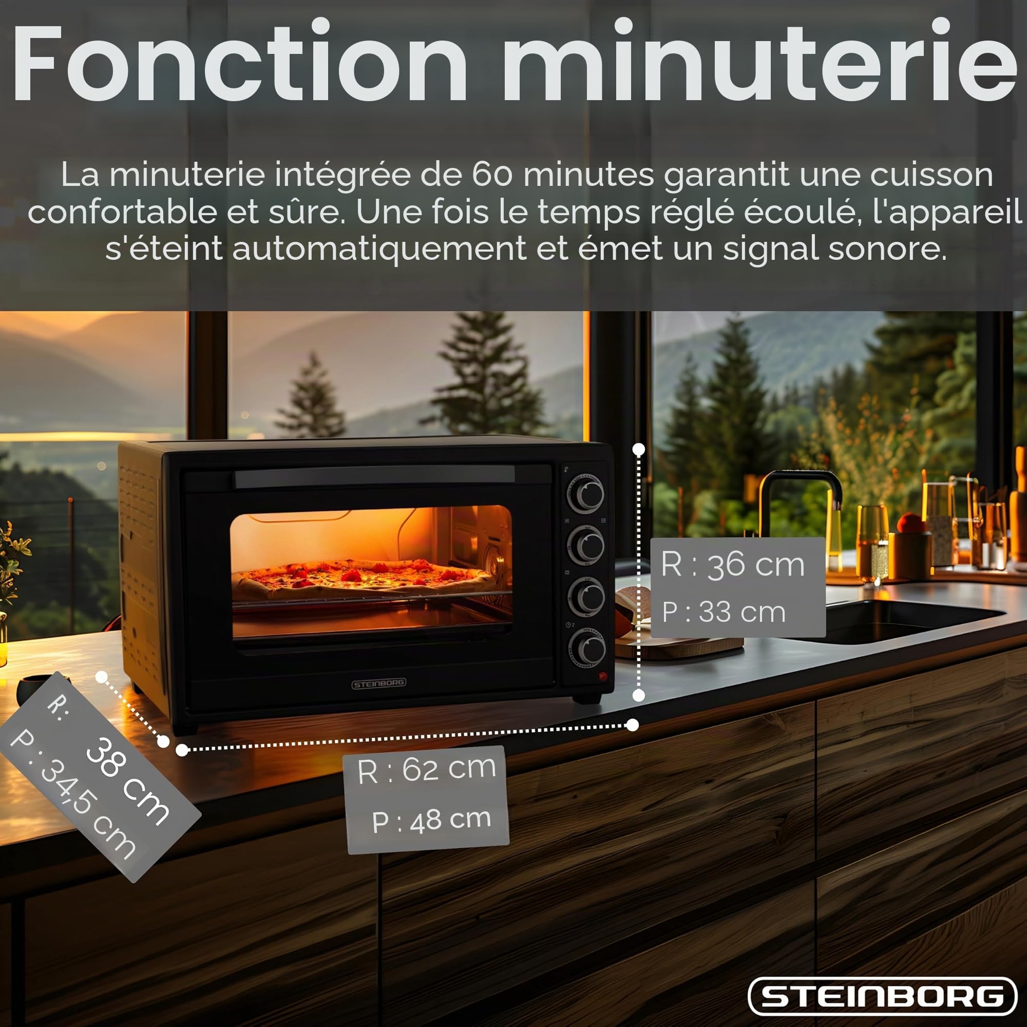 Steinborg® Mini four à pizza 3 en 1 3 en 1 avec chaleur tournante et tournebroche, 2000 W, taille XXL, 100 à 230 °C, minuterie 60 min, chaleur de voûte/sole et convection, four à pizza 3 en 1, avec