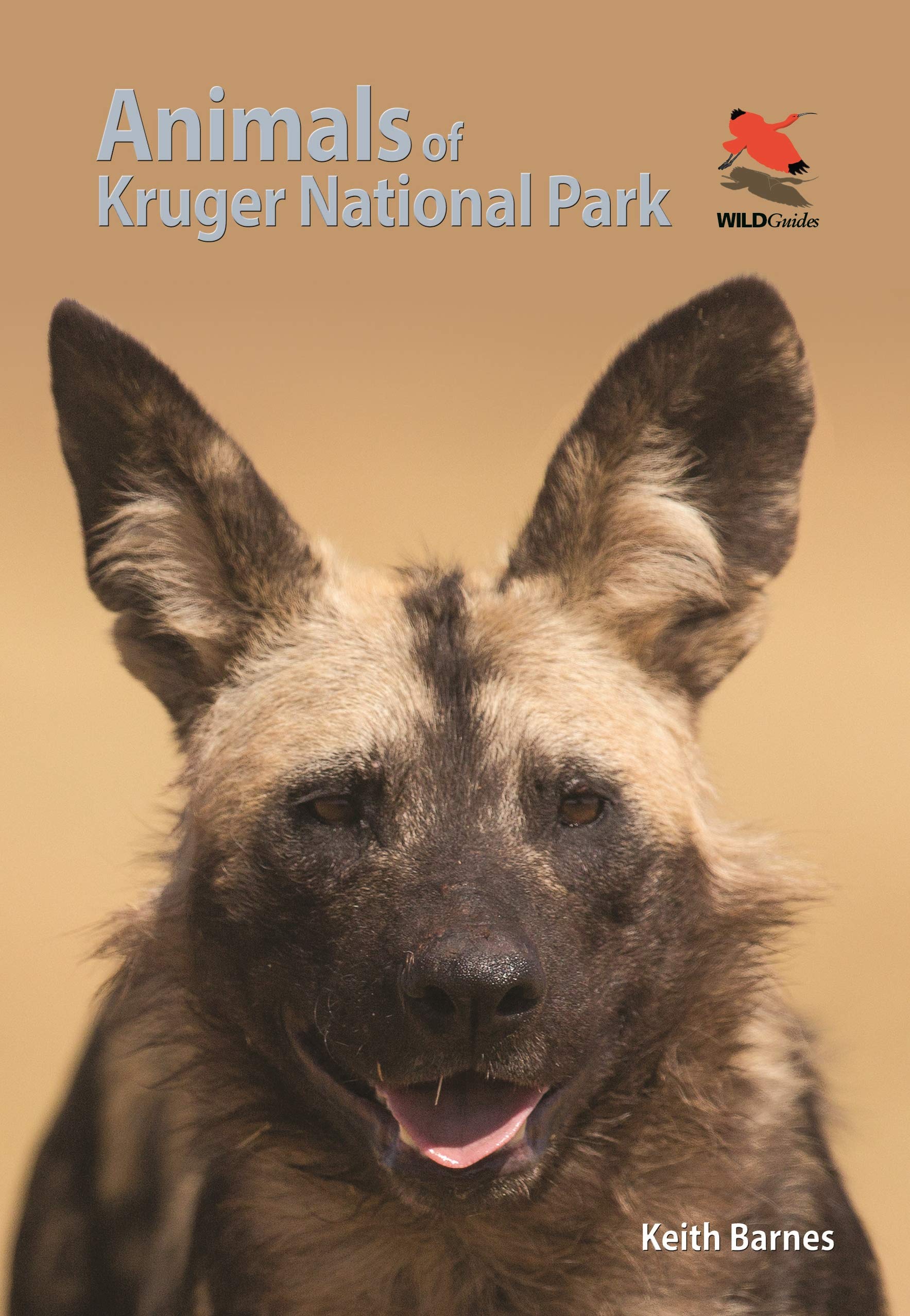 Animals of Kruger National Park (Wildlife Explorer Guides)