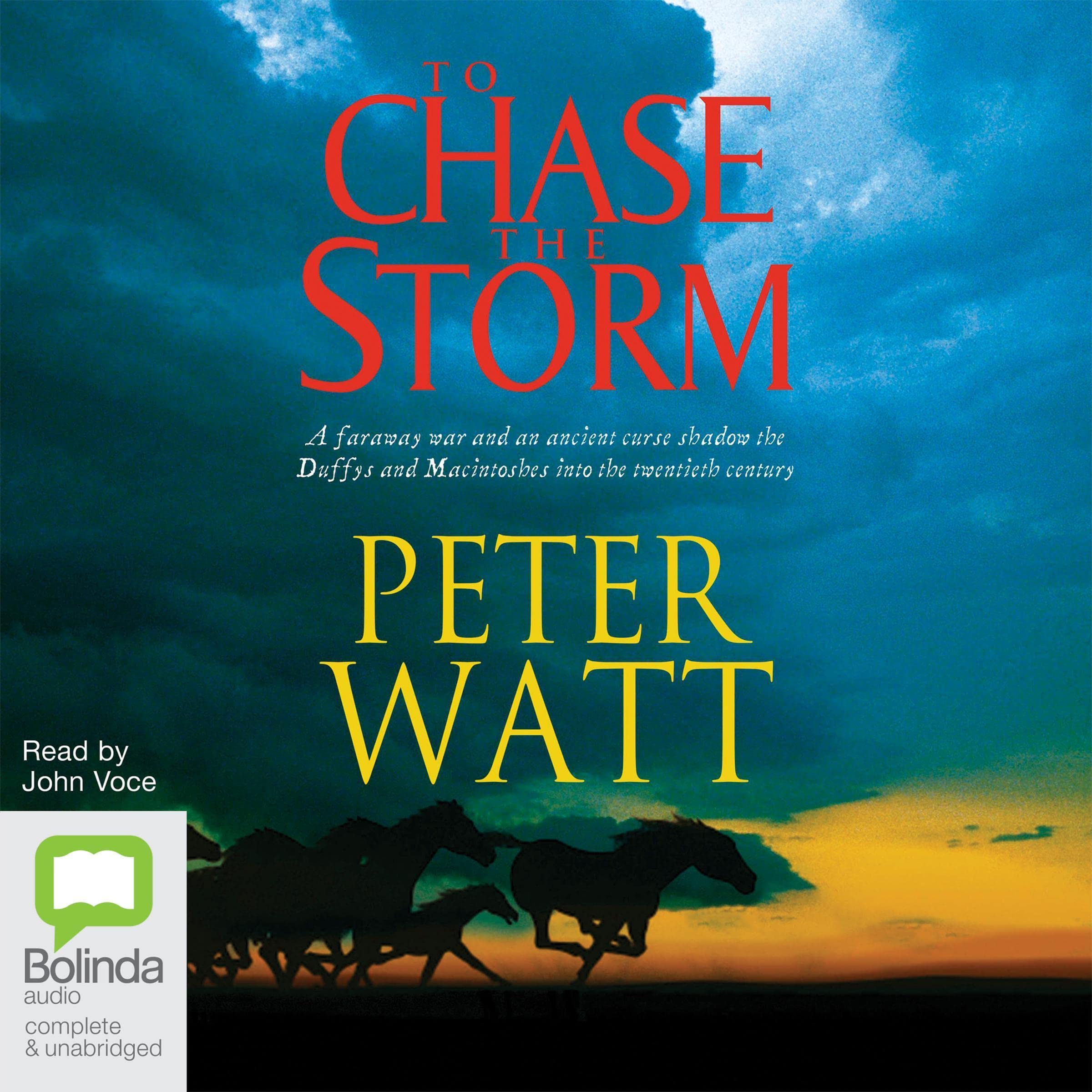 Cover art for To Chase the Storm