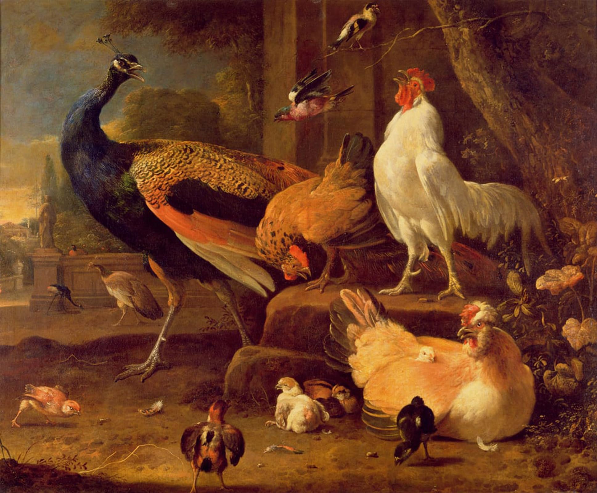 SERENDIPITP Retro Picture Poster Wall Art Pictures Painting Poultry by Melchior De Hondecoeter Wall Art Canvas Print for Wall Decor 60x90cm