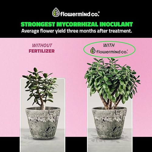 Miniatura 8 de Flowermind Co. Fertilizante orgánico  Kit de fertilizante vegetal todo en uno y mezcla de rocas para todo el ciclo de vida  Nutrientes líquidos