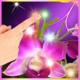 Purple Orchid Sparkles LWP