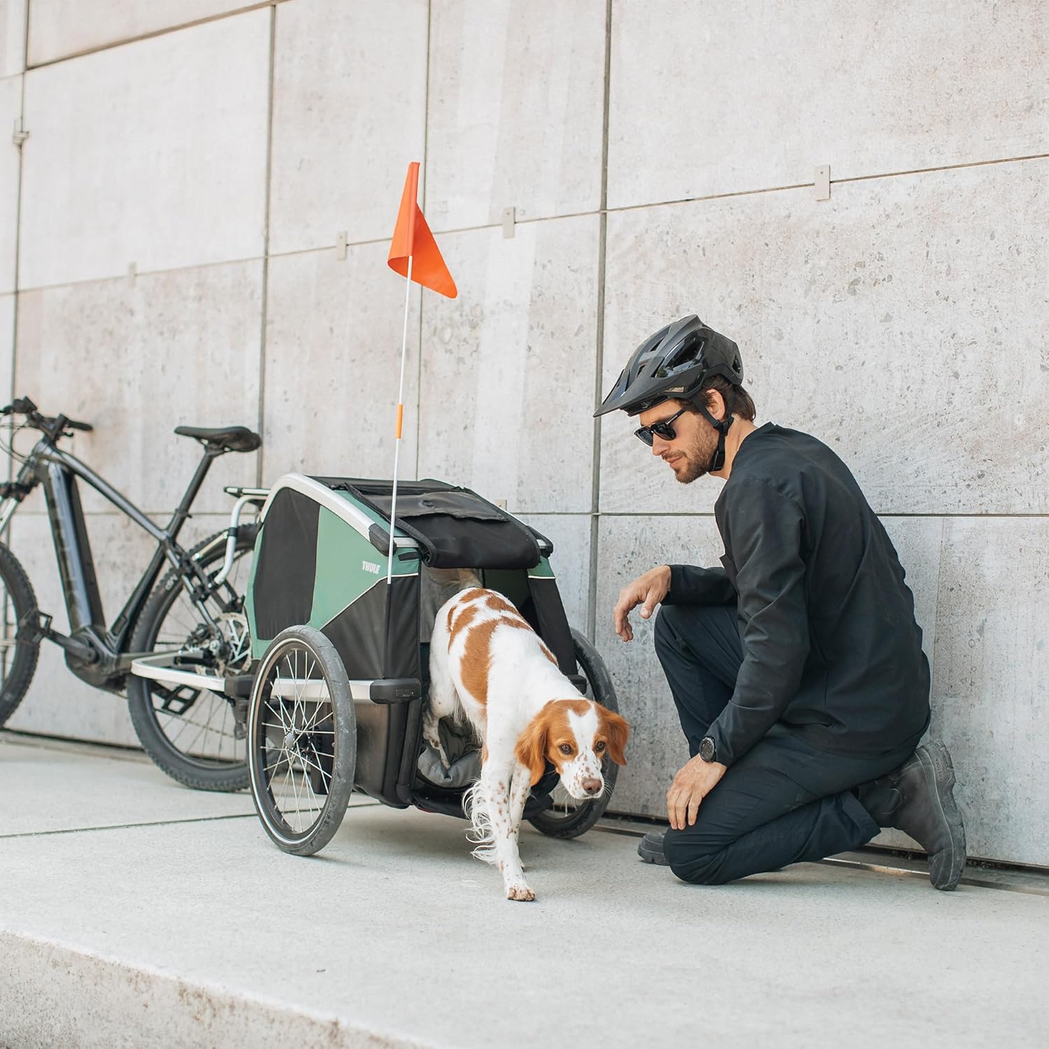 Ride in Style: Thule Bexey Pet Bike Trailer Review for Adventurous Dog Owners