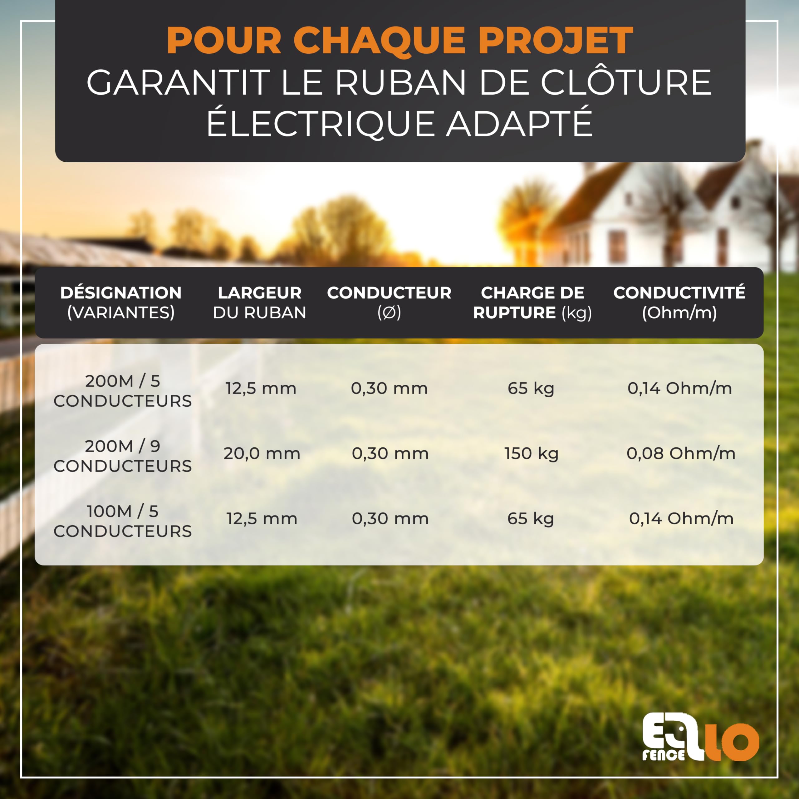 Ruban clôture électrique 20mm x 200m – Ruban conducteur robuste et résistant UV – Accessoire fiable pour pâturage et enclos animaux