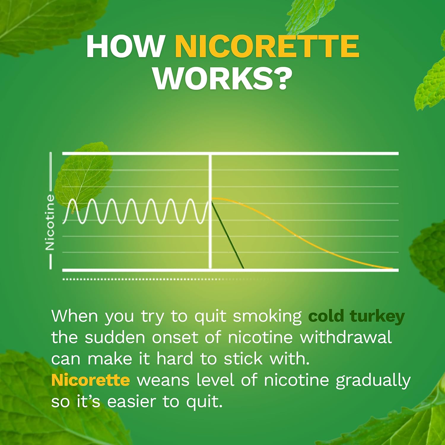 Nicorette Gum, 100 Count (Pack of 1)