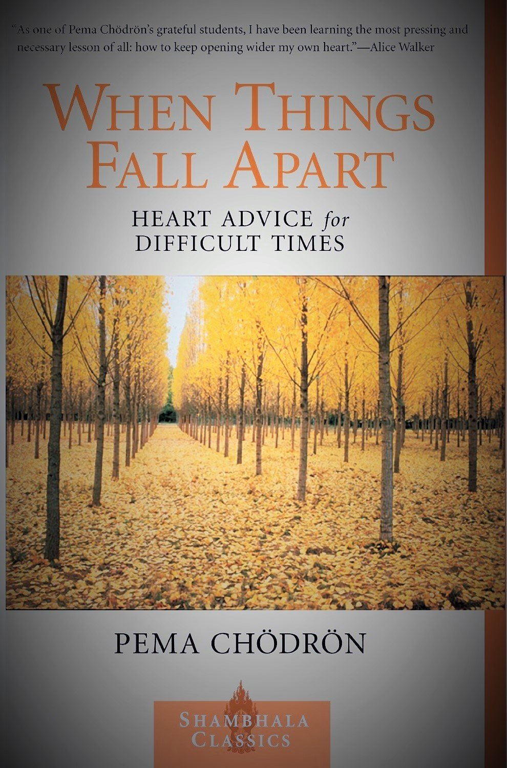 Buy When Things Fall Apart: Heart Advice for Difficult Times — BookShops.in