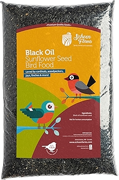 Schoen Farms Black Oil Sunflower Seeds for Birds