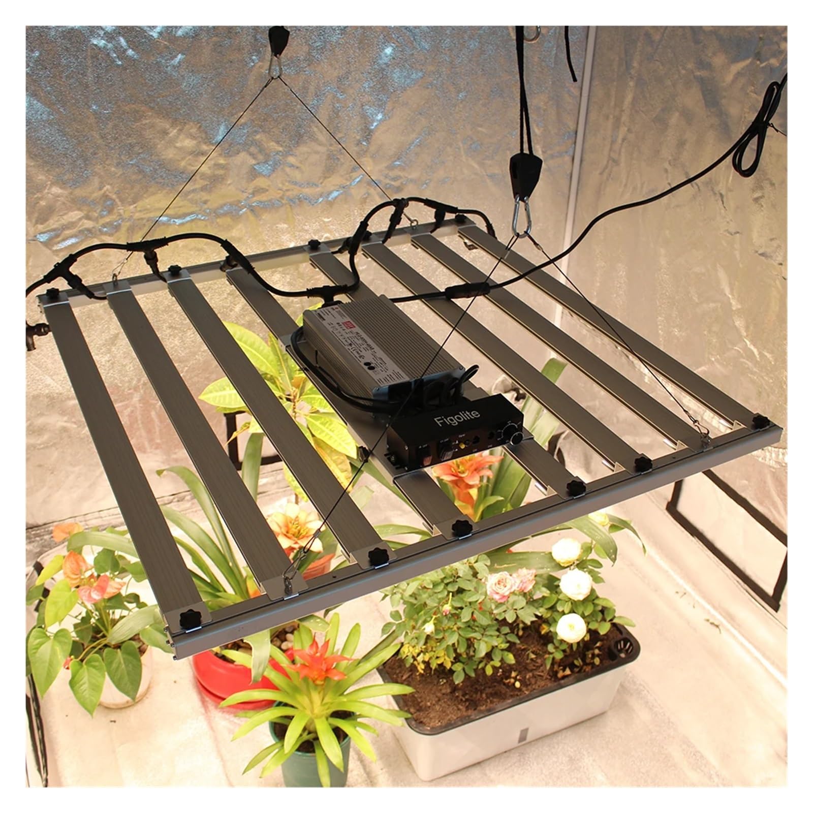 Luz de Cultivo LED 240W 320W 480W 600W LM301H EVO V5 LED Barra de luz de Cultivo Encendido/Apagado Kit Completo de Tienda de Cultivo para Plantas de Interior y Exterior.(480w)