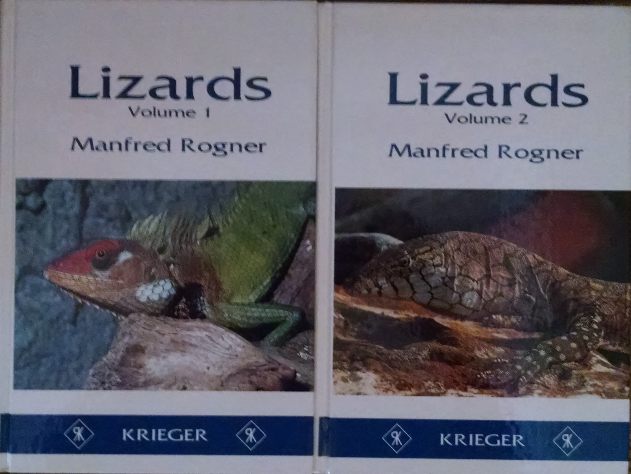 Lizards