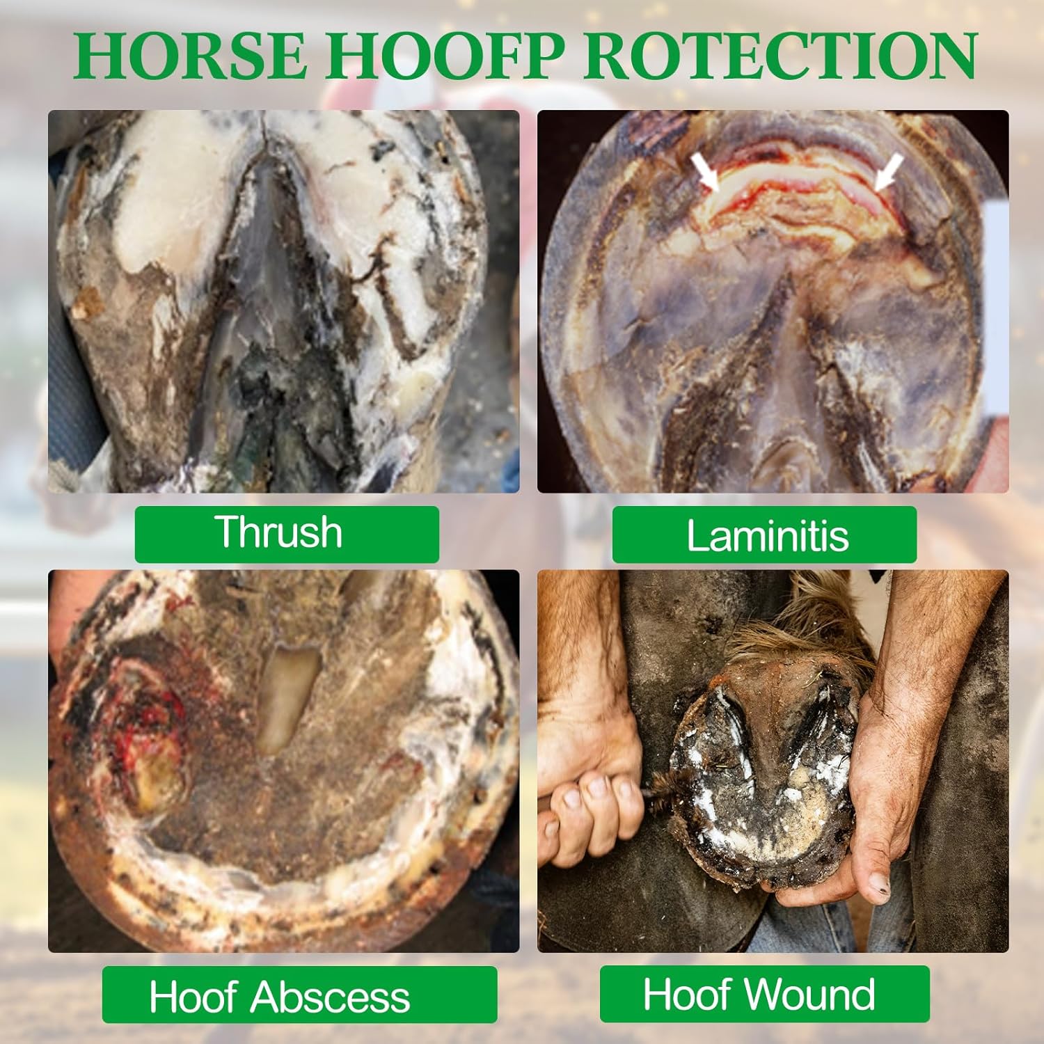 Aliceset 30 Pack Horse Hoof Tape with 6 Rolls of Vet Wrap, Breathable Cushion Hoof Packing Colorful Strong Sticky Foot Wrap for Horses Hoove Wound Care Laminitis Abscess Treatment(Colorful)