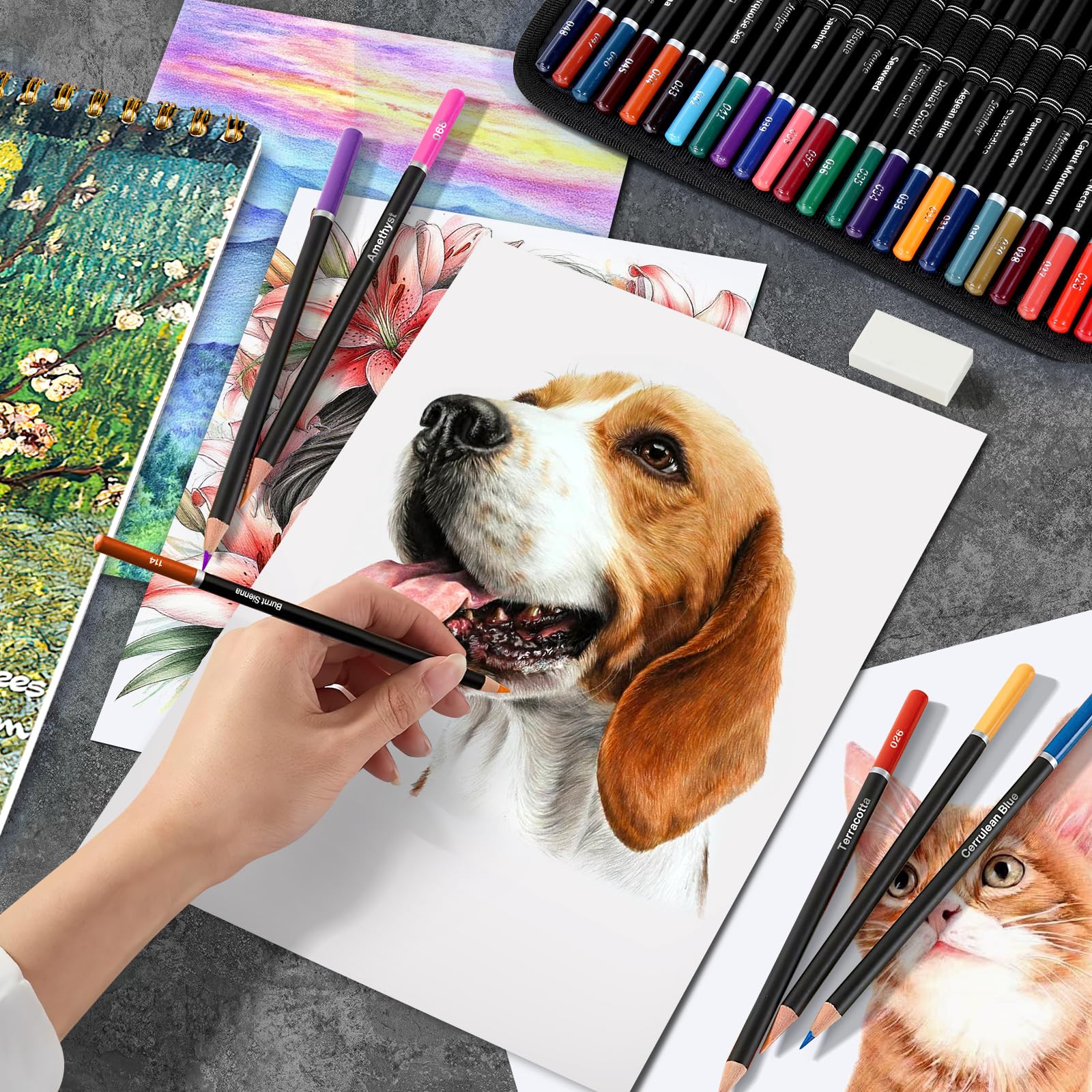 Spardar 145 Teiliges Zeichenstifte Professionell Set, Zeichenset mit 120 Farbige Buntstifte, Kohlestiften, Graphitstift und Aufbewahrungstasche & Skizzenbuch A4, Geeignet für Anfänger & Profis