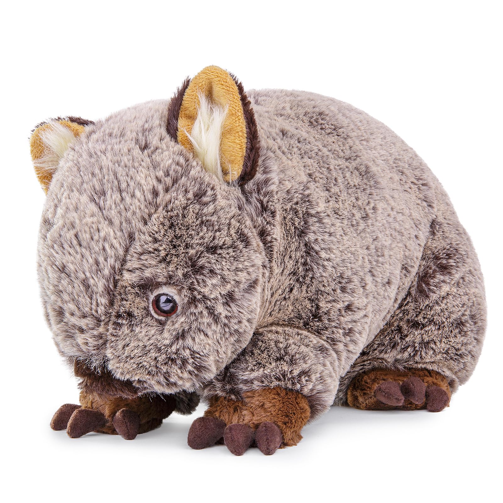 Amazon.com: BABY FRANKIEZHOU Simulation Wombat Plush Toy, 12