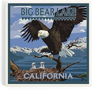 Big Bear Lake, California, Bald Eagle and Chicks (Absorbent Ceramic Coaster, Single, Cork Back, Kitchen Table Decor)