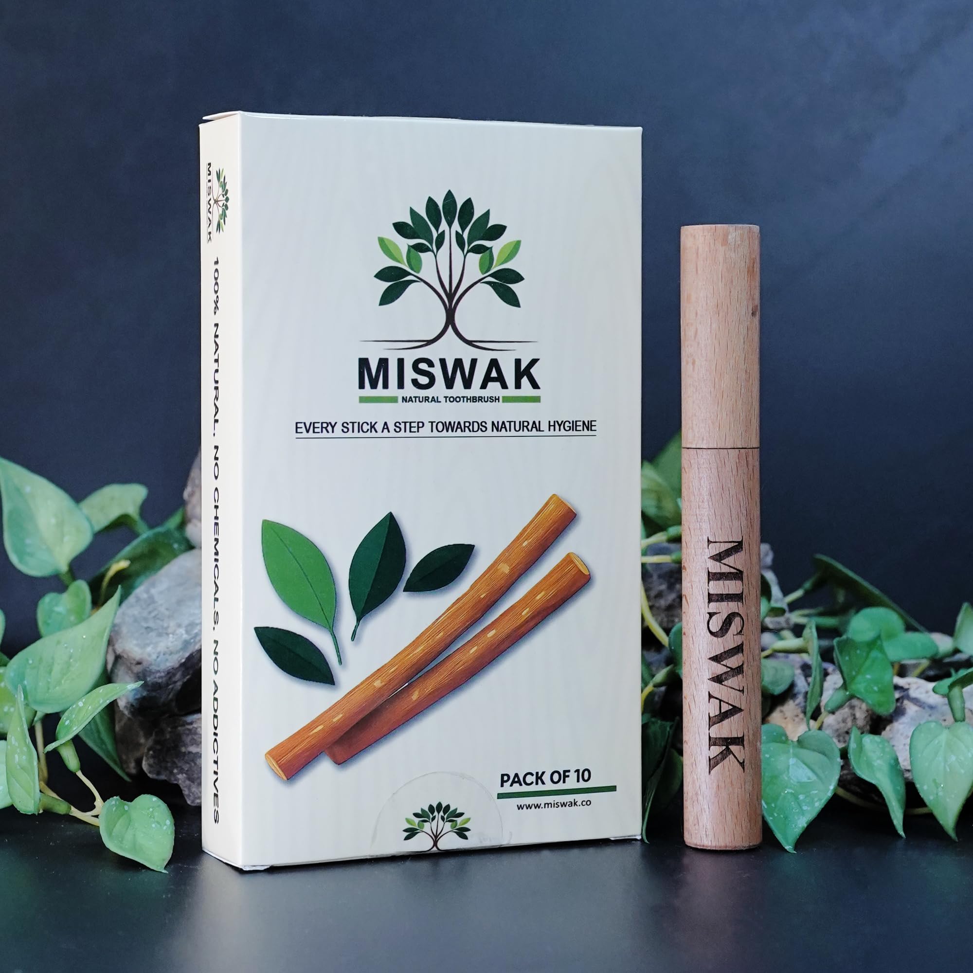MISWAK Sticks - toothpicks | Mubboo