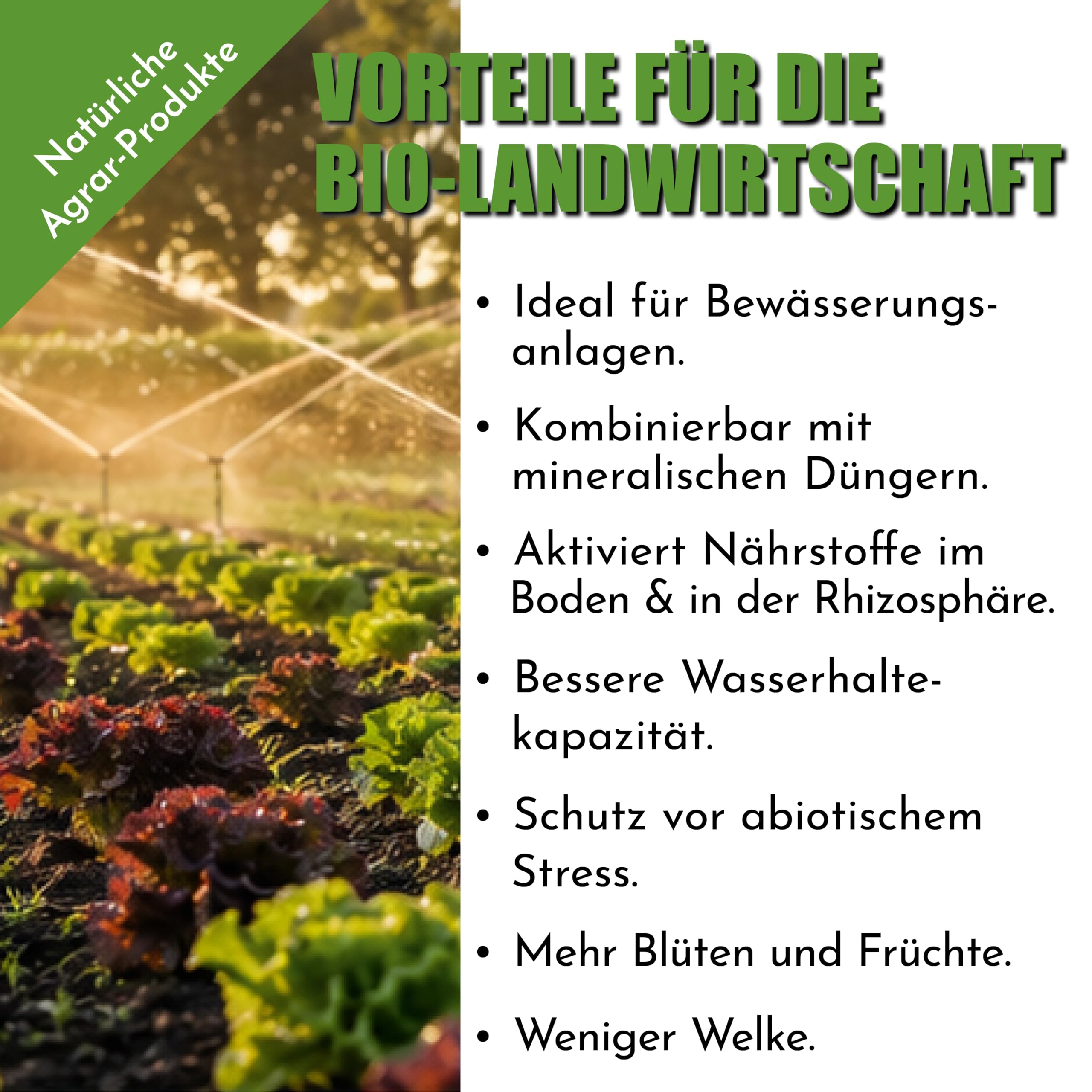 Flora Antan Algendünger Biostimulanz 5 L Universaldünger flüssig | Dünger für Obst, Gemüse, Bäume & Pflanzen aller Art, fördert kräftiges Wurzelwachstum, Made in Germany, 2500 L Gießlösung