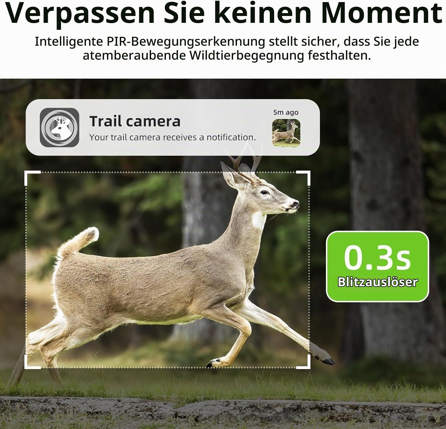 Naturepar F8 Wildkamera – 14MP 4G Wildkamera mit Nachtsicht und Bewegungserkennung 4K Wildtierkamera mit 60MP, WLAN, APP-Steuerung, Nachtsicht & IP66 wasserdicht
