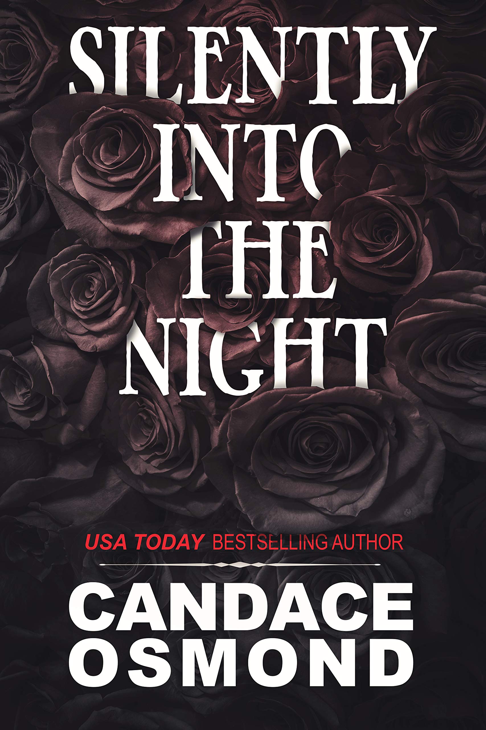Silently Into the Night: A Gothic Contemporary Romance