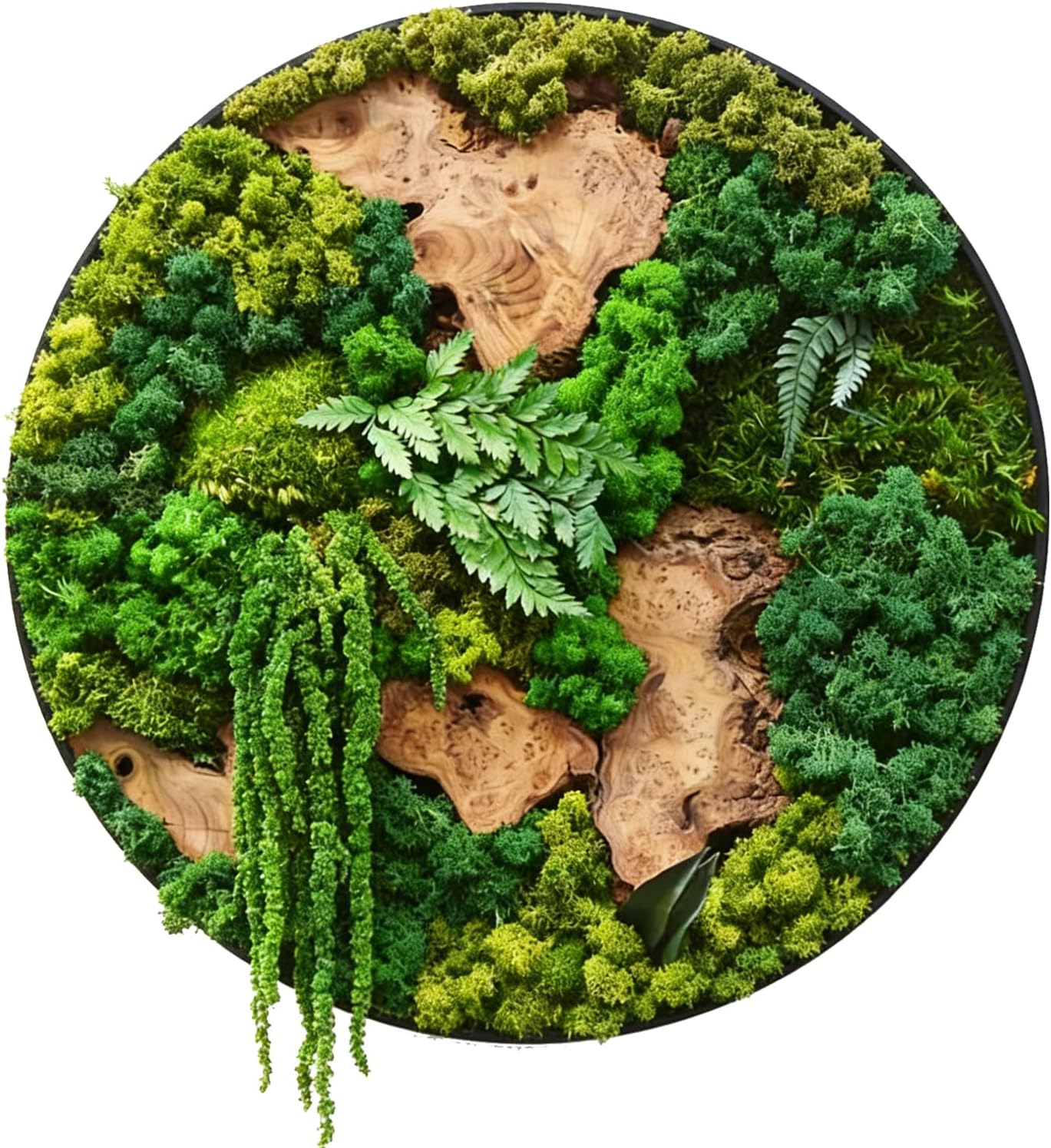 vadmepiop 16 In Moss Wall Art Natural Moss and Wood Handcrafted Rustic Charm, Modern Nature Wall Hanging for Living Room & Office, Office, Restaurant, Bar & Cafe No Maintenance (16in, Round)
