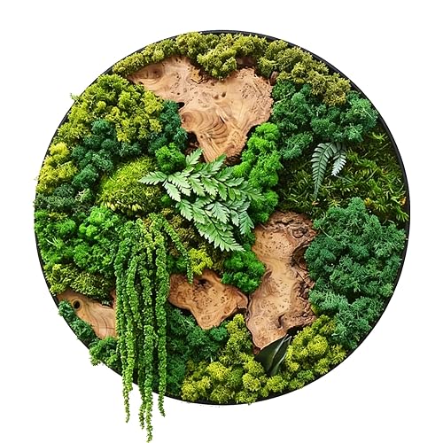 vadmepiop Moss Wall Art Natural Moss and Wood Handcrafted Rustic