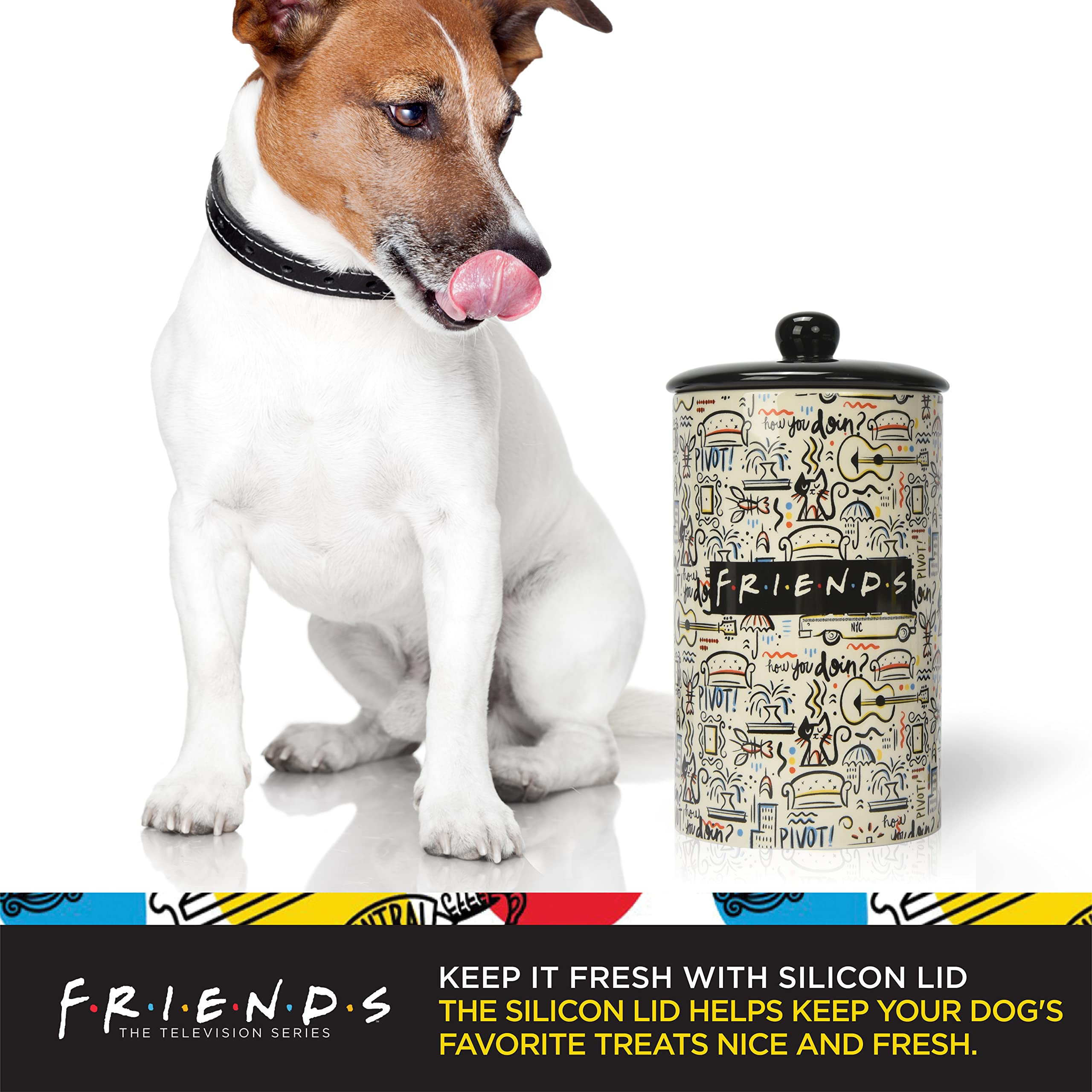 Friends the TV Show Friends City Doodle Dog Treat Jar | 10 x 5 Ceramic Dog Treat Jar with Lid, Dishwasher Safe White and Black Dog Food Storage Cylinder