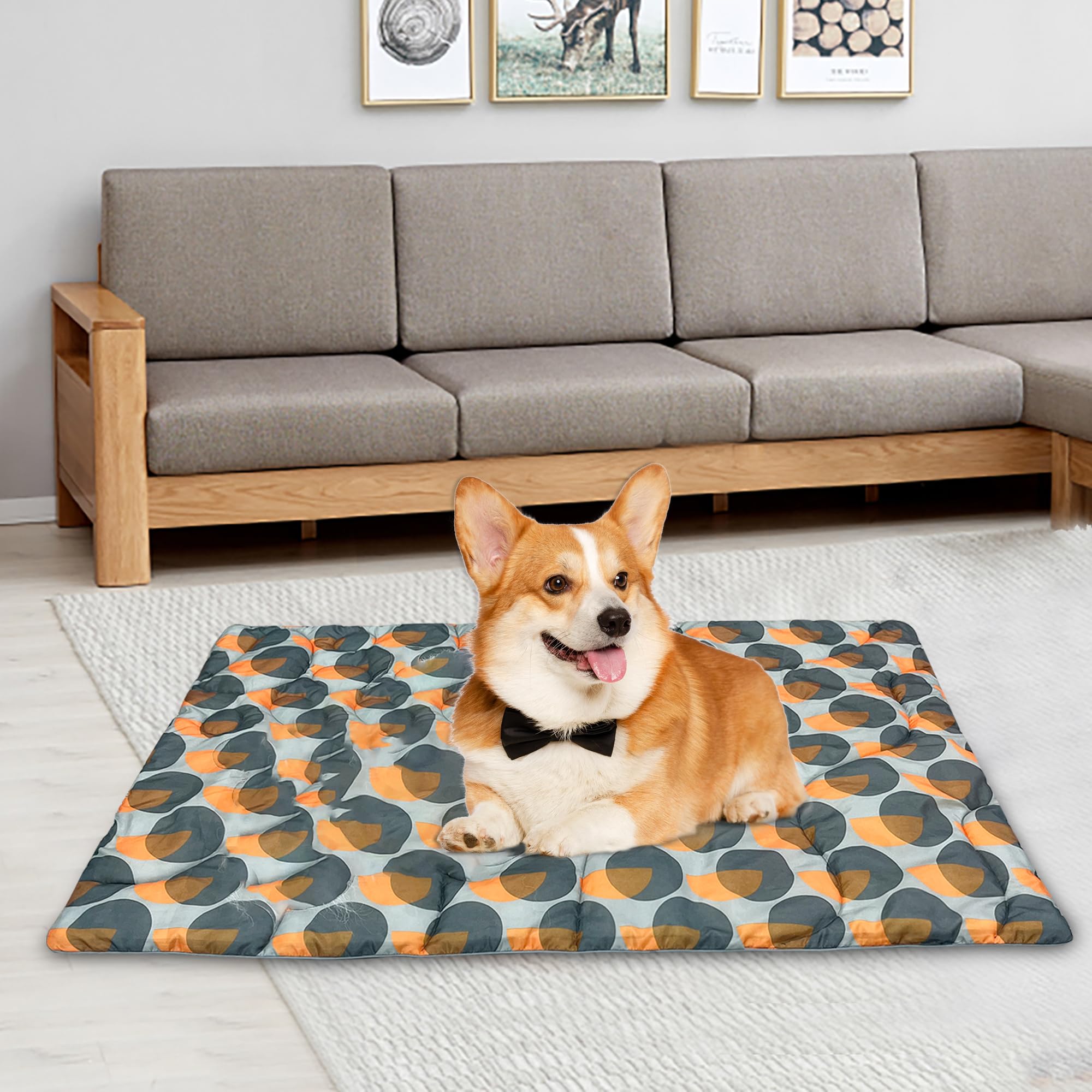 Tappetino Impermeabile Per Cane 100x70cm - Pieghevole Con Borsa, Per Interno Ed Esterno - Foto 7